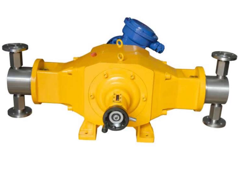 DZ-D2型柱塞式计量泵